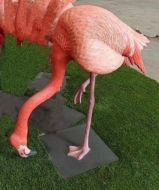 Flamingo Fibreglass - Head Down