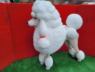 French Poodle - Fiberglass life size